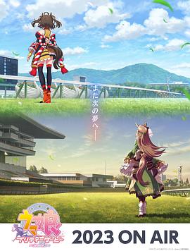 凤城seo优化推广